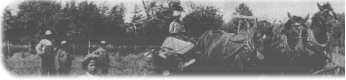 John Roffers and his sons, Robert, Marvin, Irvin and Herbert cutting oats with the grain binder in the Summer of 1930